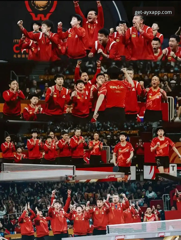 一场青春风暴的决赛，如何折射出体育竞技的深层魅力？